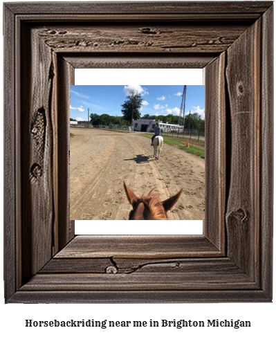 horseback riding near me in Brighton, Michigan